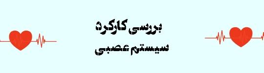 بررسی کارکرد عصبی