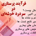 سردرد خوشه‌ای