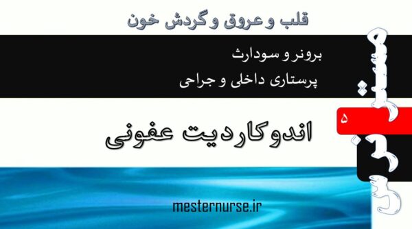 پاورپوینت پرستاری اندوکاردیت عفونی