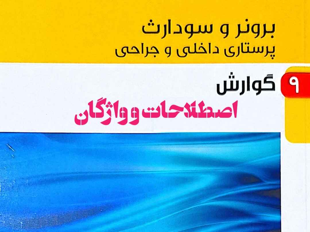 اصطلاحات برونر و سودارث گوارش