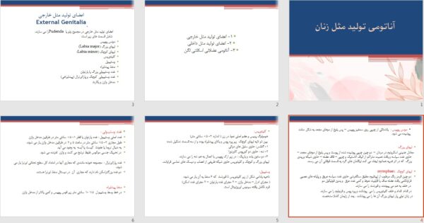 پاورپوینت پرستاری آناتومی تولید مثل زنان