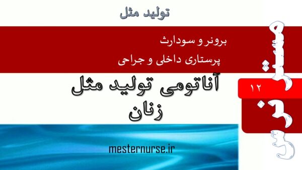 پاورپوینت پرستاری آناتومی تولید مثل زنان