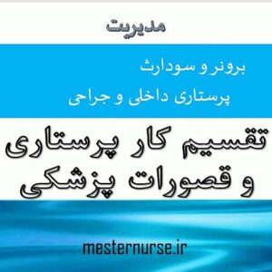 پاورپوینت تقسیم کار پرستاری