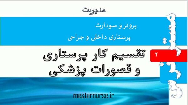 پاورپوینت تقسیم کار پرستاری